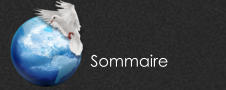 Sommaire