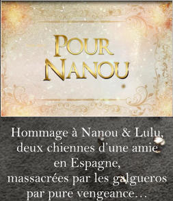 Hommage à Nanou & Lulu,  deux chiennes d’une amie  en Espagne,  massacrées par les galgueros  par pure vengeance…