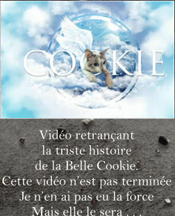 Vidéo retrançant  la triste histoire  de la Belle Cookie. Cette vidéo n’est pas terminée Je n’en ai pas eu la force Mais elle le sera . . .