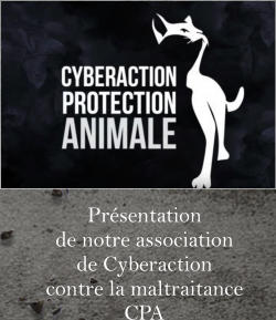 Présentation de notre association de Cyberaction  contre la maltraitance CPA